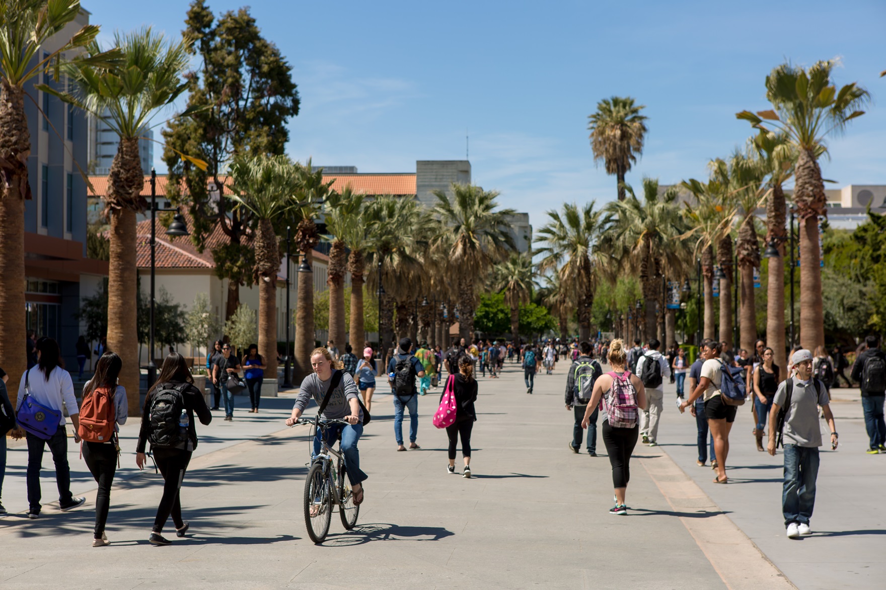 A picture of SJSU campus