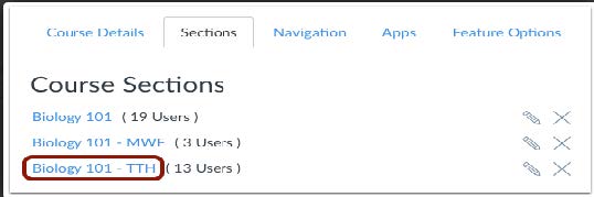 Canvas course section titles