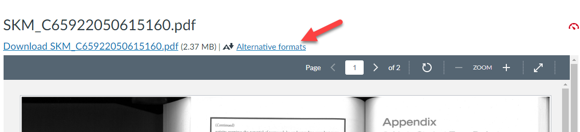 Download alternative formats interface