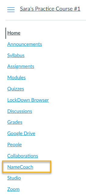 NameCoach tab in Canvas Course Navigation Menu.