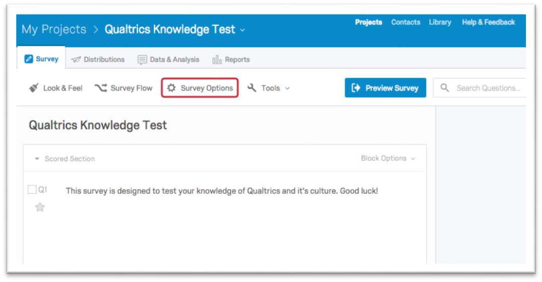 Survey Options